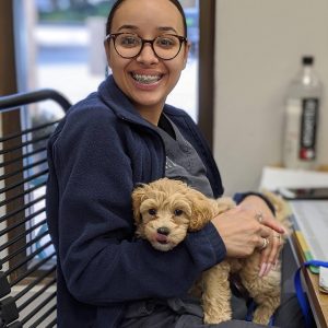 Veterinary Mastery Program